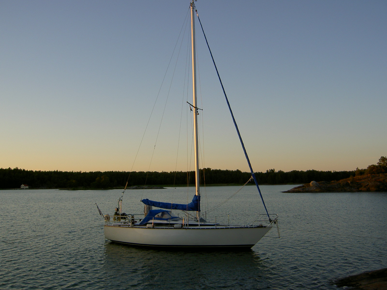 Vincula II